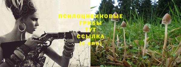 шишки Зеленокумск