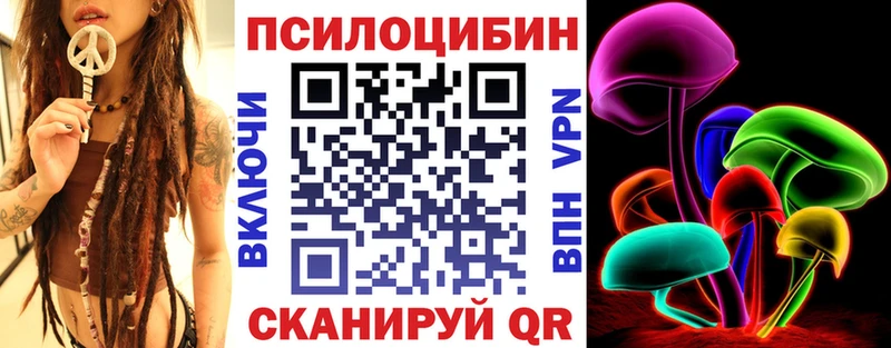 Купить закладки  Зуевка  Псилоцибиновые грибы мицелий 